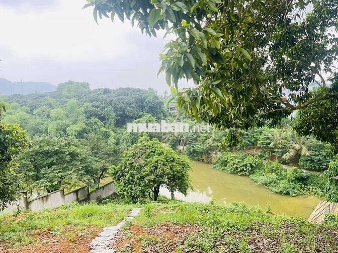 Siêu phẩm nghỉ dưỡng tay chạm nước
