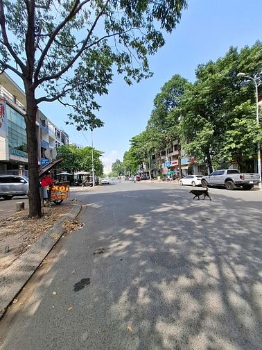 Bán đất đường 24B phường An Phú Quận 2 giá 36 tỷ