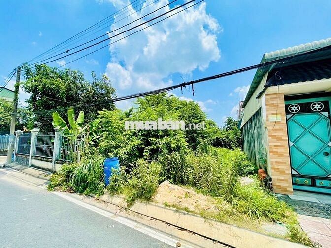 đất THỔ CƯ(6,5m x 30m) mt nhựa 8m, giá siêu NGỘP 490TR , Tân Phú Trung
