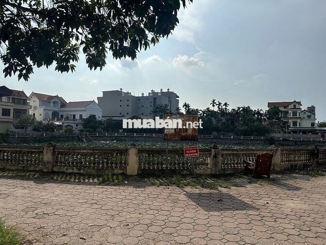 45m2 đất Đại Cát, vuông đẹp như tờ A4, ô tô đổ cạnh đất
