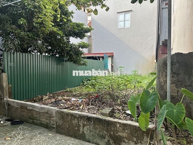 45m2 đất Đại Cát, vuông đẹp như tờ A4, ô tô đổ cạnh đất