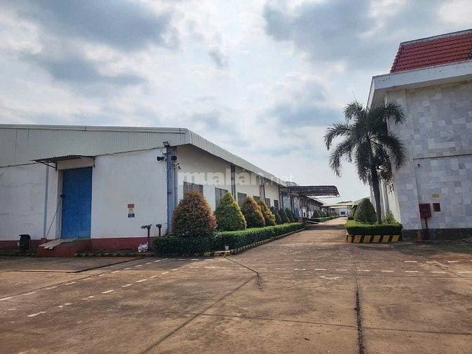 Cho thuê 5000m2 ,10.000m2 Xưởng trong KCN Nam Tân Uyên Bình Bình Dương