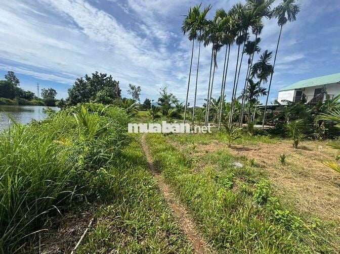 Chủ Cần Bán lô nhà vườn. View Sông Thoáng Mát  tuyệt đĩnh