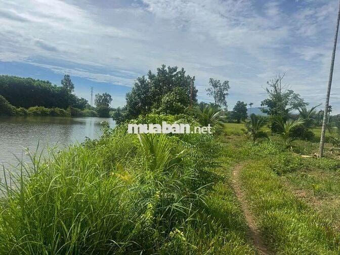 Chủ Cần Bán lô nhà vườn. View Sông Thoáng Mát  tuyệt đĩnh