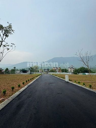 Bán đất mặt đường 446, ngay cạnh cổng sau kđt Xanh villas, đhqg, 5 tỷ