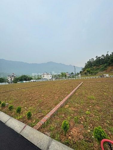 Bán đất mặt đường 446, ngay cạnh cổng sau kđt Xanh villas, đhqg, 5 tỷ
