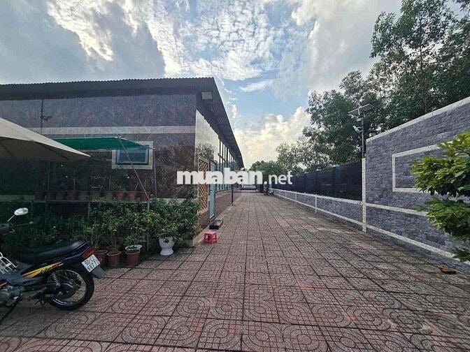 BÁN ĐẤT MẶT TIỀN CÂY DẦU – NHƠN TRẠCH, ĐỒNG NAI- DT:3045M2- GIÁ 22,5TY