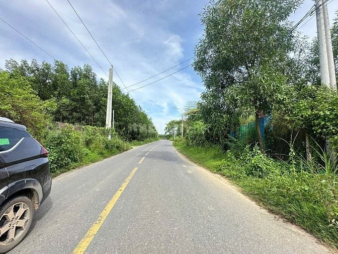 Bán đất mặt tiền đường Ông Binh, Bình Lợi – Vĩnh Cửu, Đồng Nai