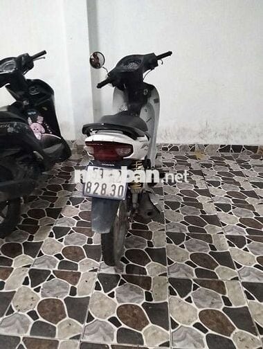 Xe vave doi 2019 xe zin