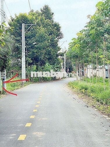 Đất có sổ sẵn, sẵn thổ cư ngay tại Xã Phước Thành, HCM.