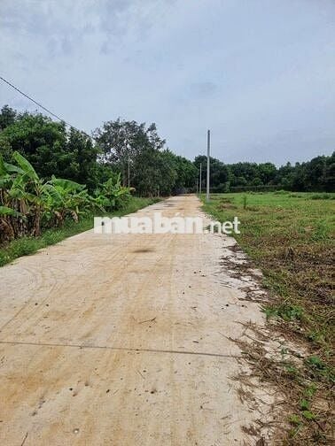 12 nềm Fo thuộc xã Dầu Giây với diện tích 170m2