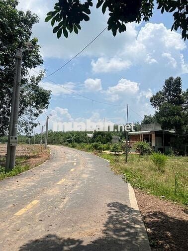 Đất Chú Năm cần bán gấp trả nợ 💥 ngân hàng, diện tích 300m2 thổ cư