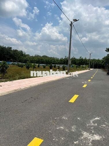 Đất Chú Năm cần bán gấp trả nợ 💥 ngân hàng, diện tích 300m2 thổ cư