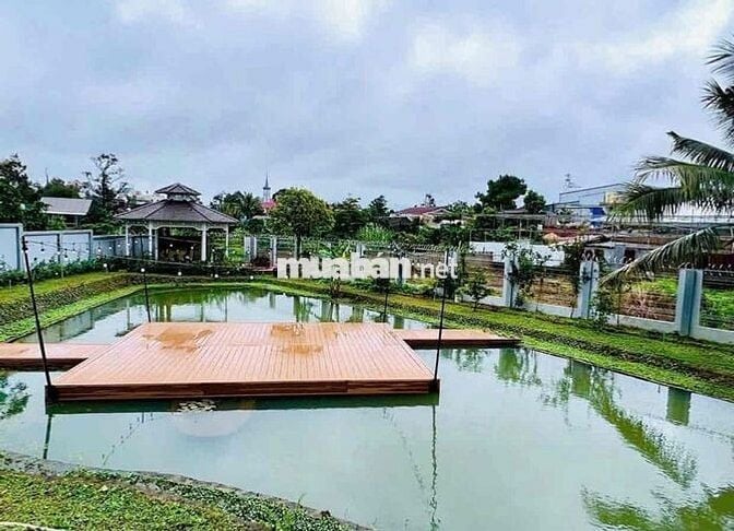Bán lỗ nhà vườn view hồ 760m2 chỉ 920tr
