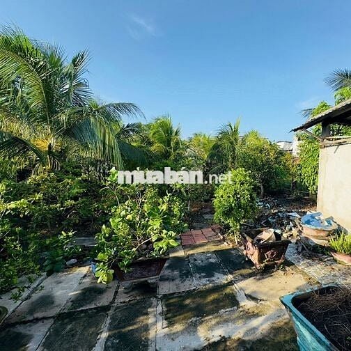 NHÀ MẶT TIỀN CẤP 3 QUỐC LỘ 50 DIỆN TÍCH NGANG 12M x 60M
