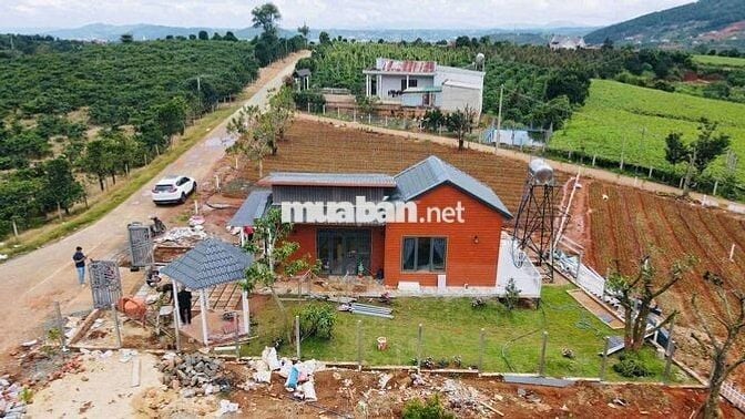Chủ đất gửi lô đất ven Đà Lạt giá chỉ 350tr
