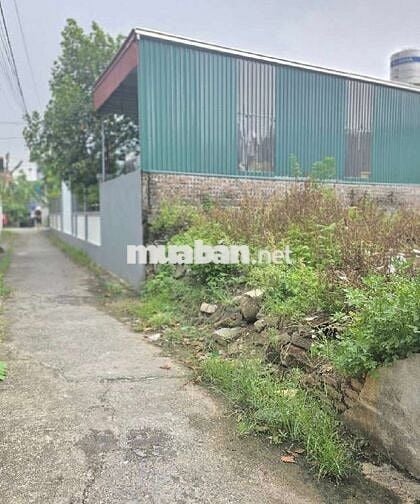 📣📣📣 B.Á.N Đ.Ấ.T - VĂN GIANG - HƯNG YÊN - Ô TÔ - 60M² - 2.X TỶ