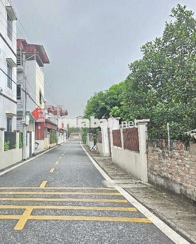 📣📣📣 B.Á.N Đ.Ấ.T - VĂN GIANG - HƯNG YÊN - Ô TÔ - 60M² - 2.X TỶ