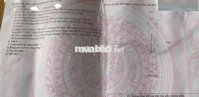 Bán đất 241m2 6x40 ở Nguyễn Du, An Hòa, Trảng Bàng giá 710triệu, SHR