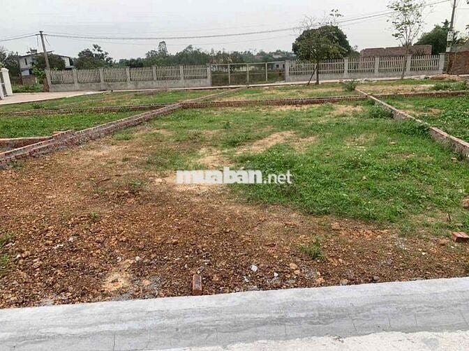Bán Đất – Phú Nghĩa (Xã Minh Phú -SS)- 90m2-1,7ty-Full Thổ Cư – Đườ