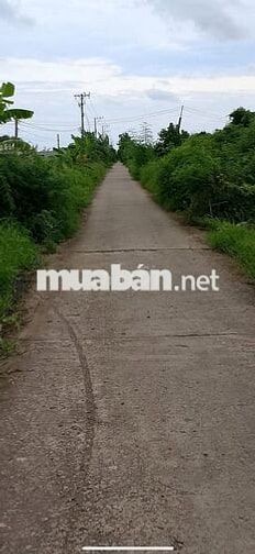Bán đất Ấp Vĩnh An, Ninh Hòa, Hồng Dân, Bạc Liêu - 10 công
