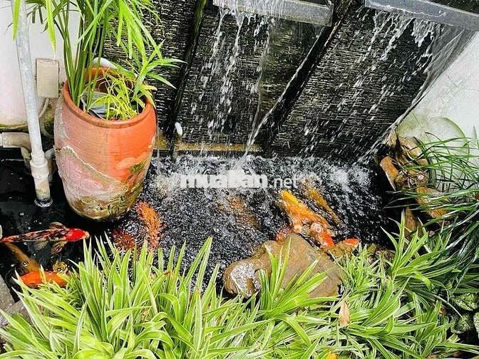 Bán Nhà Mặt Tiền Lê Chân Tân Lập Nha Trang Khánh  Hoà Ngang 7m