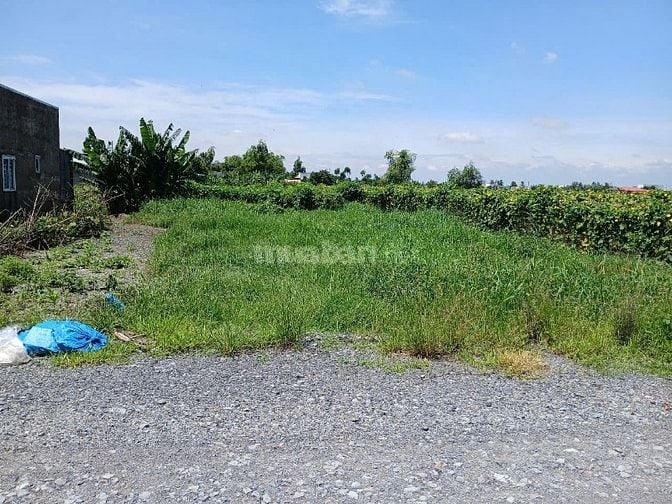 Bán Đất MT Long An , Cần Giuộc , Mỹ Lộc