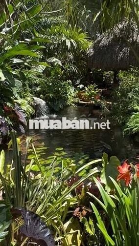 Bán đất giáp suối gần Quốc lộ 20  Định Quán, giá chỉ 850 triệu/sào