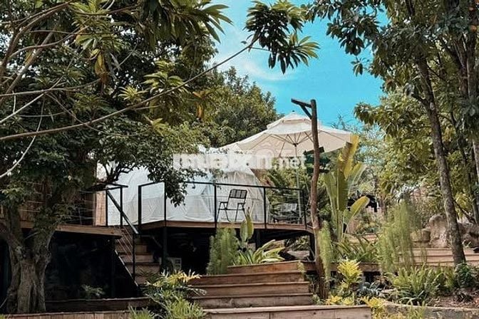 Bán đất giáp suối gần Quốc lộ 20  Định Quán, giá chỉ 850 triệu/sào