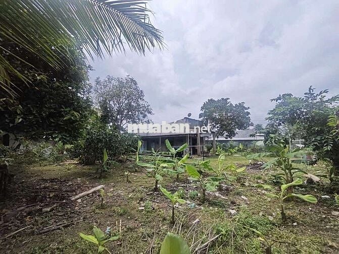 Phú Vinh - Định Quán - Đồng Nai
-Diện tích 3000m2 có 300m2 thổ cư