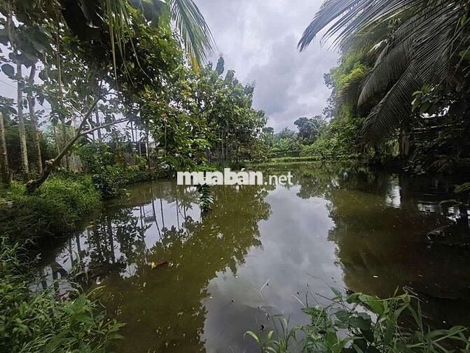 Phú Vinh - Định Quán - Đồng Nai
-Diện tích 3000m2 có 300m2 thổ cư