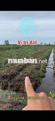 đất vườn bình đức bến lức - long an 500m2 , giá : 390 triệu