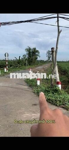đất vườn bình đức bến lức - long an 500m2 , giá : 390 triệu