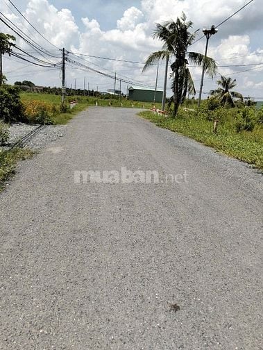 Bán Đất tại Nguyễn Văn Mỹ, Bình Tịnh, Tân Trụ, Long An, giá 780tr
