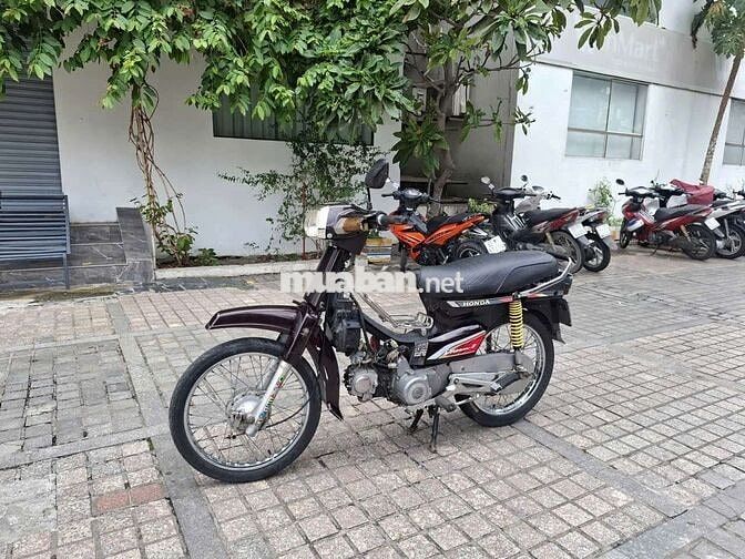 Xe dream Hàn Quốc