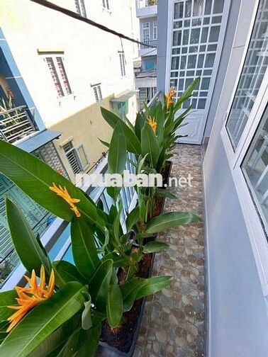 GẤP BÁN nhà 1TRỆT 1LẦU sát Lê Trọng Tấn gần Hẻm XE TẢI mà chỉ 3.75 tỷ