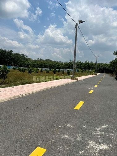 Đất Chú Năm cần bán gấp trả nợ ngân hàng, Bình Dương diện tích 250m2