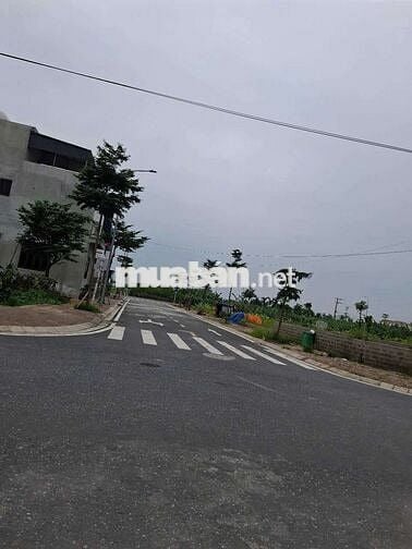 🚀 ĐẤT Xâm Xuyên - Hồng Vân - Thường tín - HÀ NỘI 
🪴 Diện tích : 61m