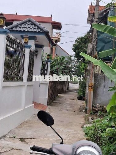 🚀 ĐẤT Xâm Xuyên - Hồng Vân - Thường tín - HÀ NỘI 
🪴 Diện tích : 61m