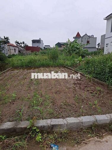 🚀 ĐẤT Xâm Xuyên - Hồng Vân - Thường tín - HÀ NỘI 
🪴 Diện tích : 61m