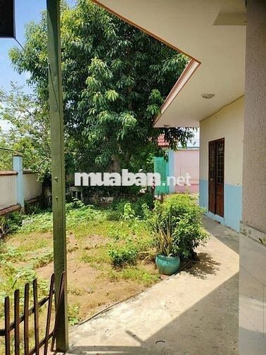 Ngộp Nhà vườn nghỉ dưỡng chợ Trung Lập Hạ, Củ Chi, 518m2, SHR, 875tr