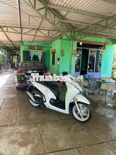 cần bán xe Honda SH