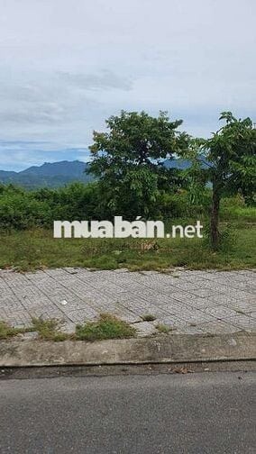 Em Kết Nghĩa , Cần Bán Có Bớt Ít Ra Sổ