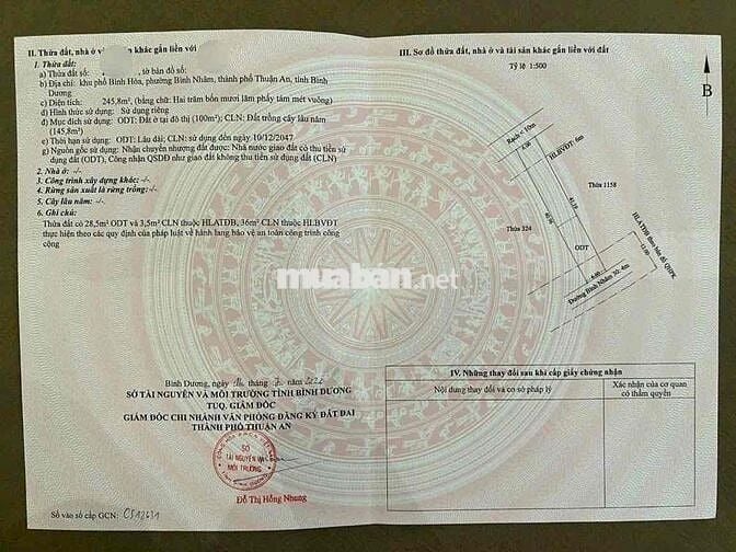 BÁN ĐẤT BÌNH NHÂM (6x41) KHU TOÀN BIỆT THỰ