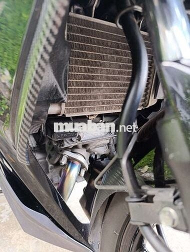 Exciter 2010 CTD BSTP 9C