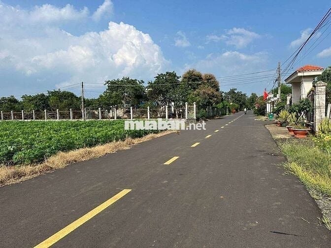 CHỈ 350 TR/1 SÀO. 3,5 ha, 300 MÉT MẶT TIỀN NHỰA XUYÊN MỘC, BRVT