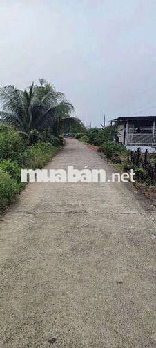 Nhà vườn View sông, đường bê tông xe 7 chỗ