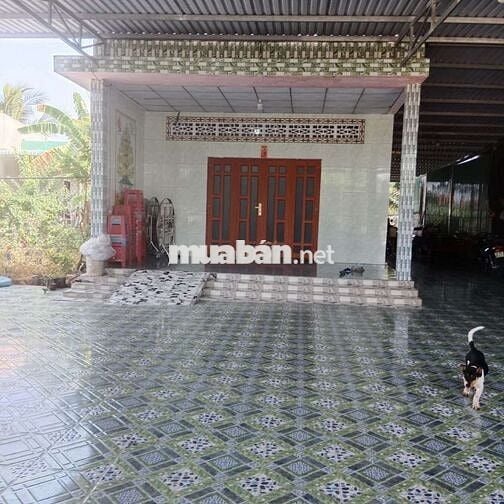 Nhà vườn View sông, đường bê tông xe 7 chỗ