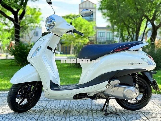 Grande 2020 đèn led. biển 43