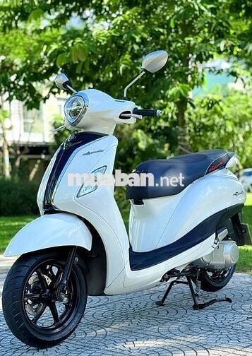 Grande 2020 đèn led. biển 43